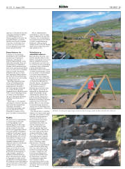 Síða 29