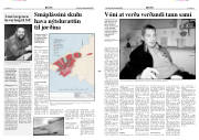 Síða 3