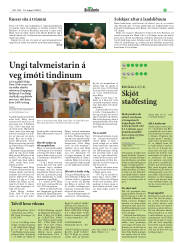 Síða 17