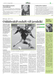 Síða 19
