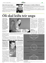 Síða 17