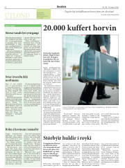 Síða 20