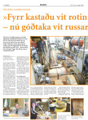 Síða 13