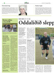 Síða 17