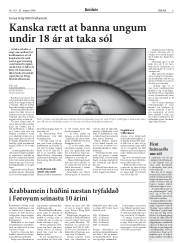 Síða 8