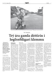 Síða 41