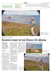 Síða 2