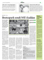 Síða 27