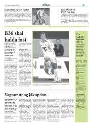 Síða 19