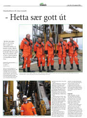 Síða 22