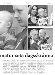 Síða 6