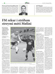 Síða 12