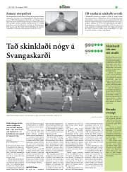 Síða 25