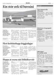 Síða 8