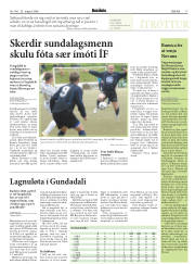 Síða 17