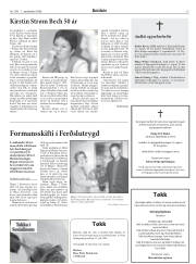 Síða 13