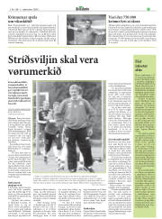 Síða 19
