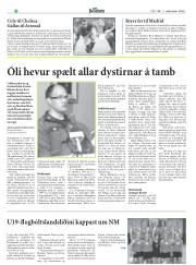 Síða 20