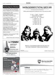 Síða 33