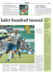 Síða 17