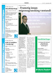 Síða 2