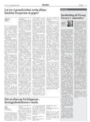 Síða 11