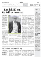 Síða 21