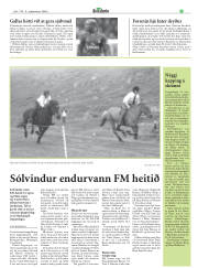 Síða 23