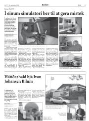 Síða 15