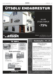 Síða 33