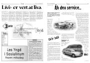 Síða 8