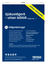 Síða 3
