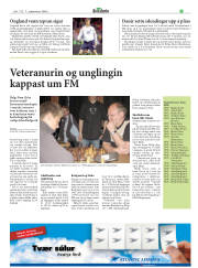 Síða 15