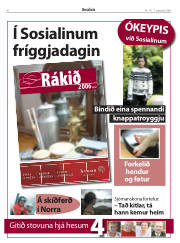 Síða 30