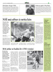Síða 17