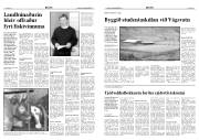 Síða 3