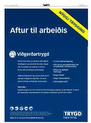 Síða 19