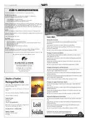 Síða 33
