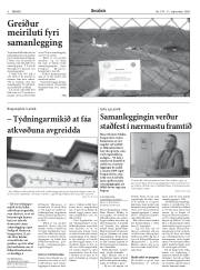 Síða 6
