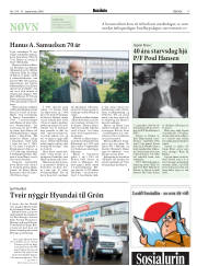 Síða 17