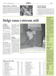 Síða 29