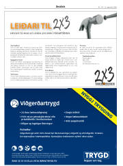 Síða 2