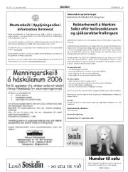 Síða 29
