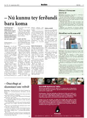 Síða 17