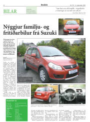 Síða 20