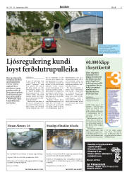 Síða 21