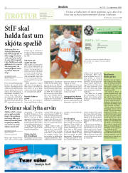 Síða 22