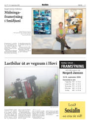 Síða 17