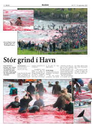 Síða 18