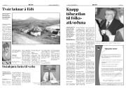 Síða 3